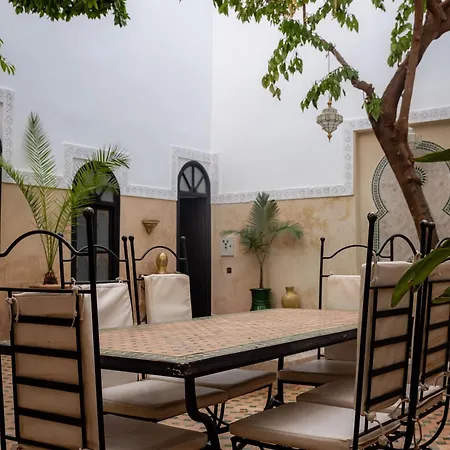 Riad Amegrad-2